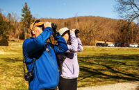 Birdwatching & Nature Observation