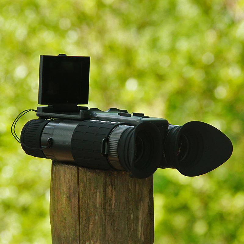 Birdwatching-&-Nature-Observation
