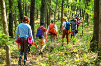 Nature Education & Field Research