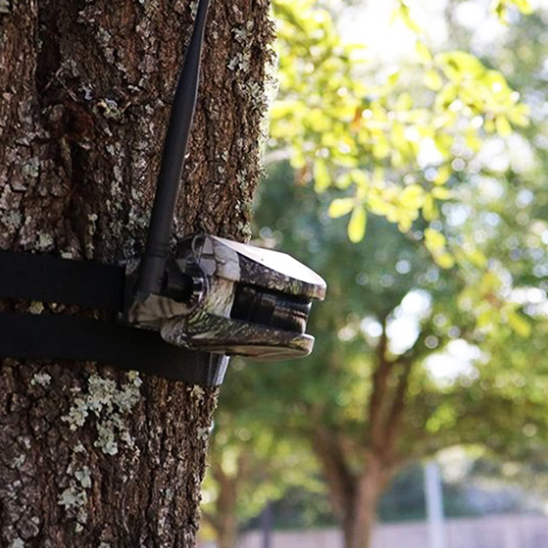 Outdoor Security & Alarm Monitoring