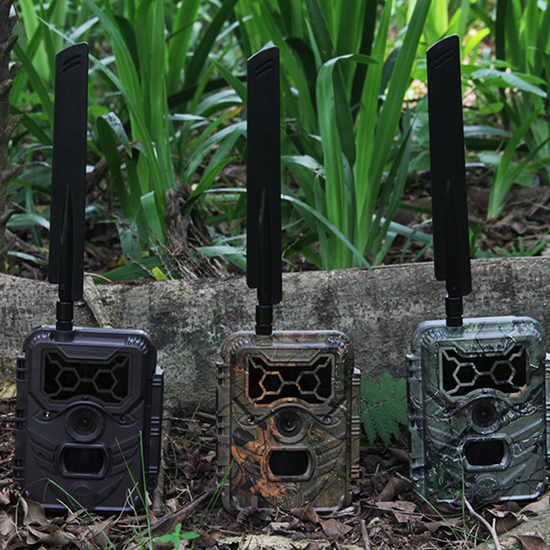 Solar-Powered Remote & Off-Grid Customers (1)