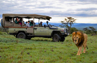 Travel, Safari & Adventure Observation