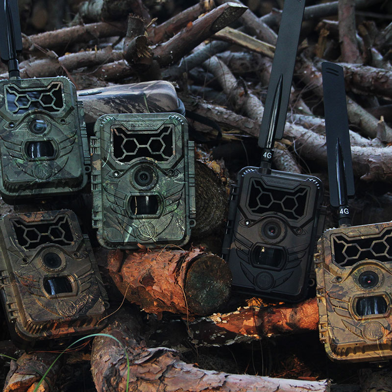 Wildlife Conservation & Habitat Monitoring (1)