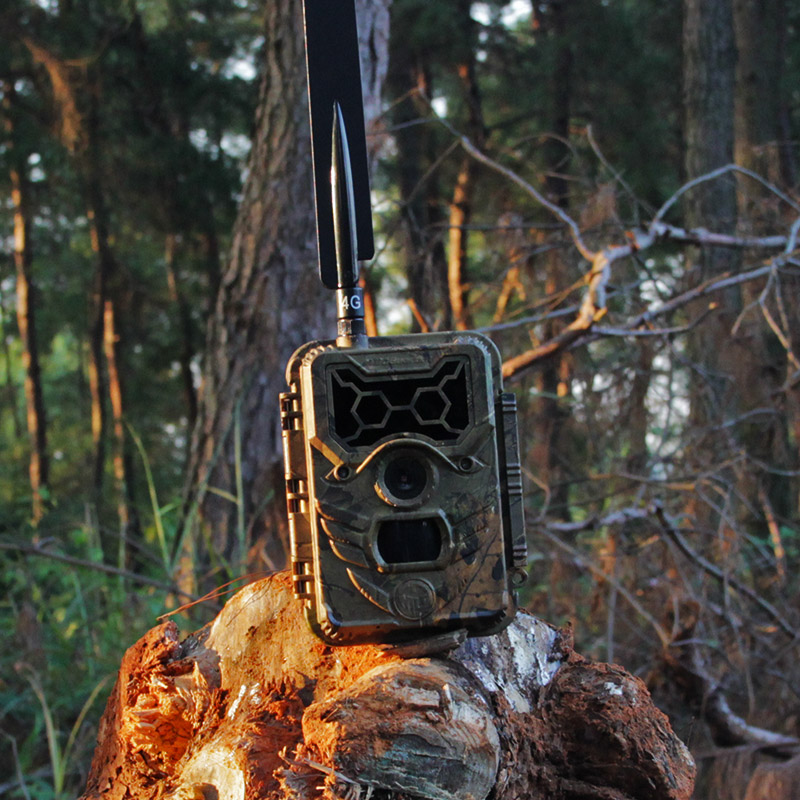Wildlife-Monitoring-Activities